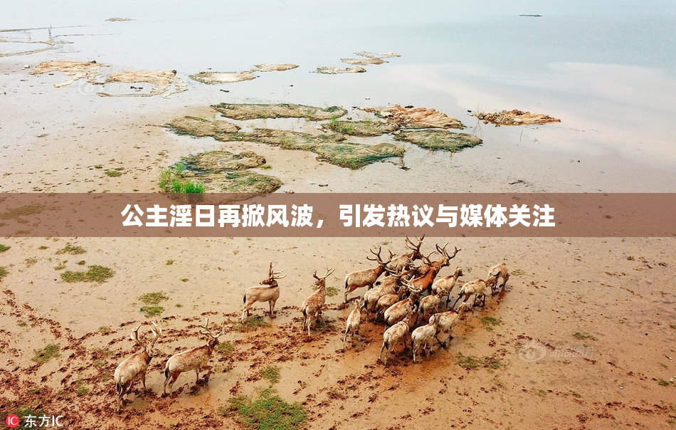公主淫日再掀风波，引发热议与媒体关注