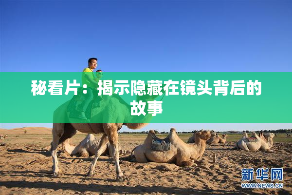 秘看片：揭示隐藏在镜头背后的故事