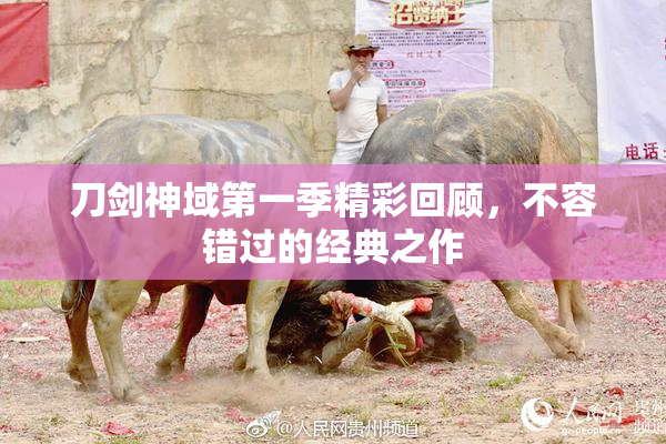 刀剑神域第一季精彩回顾，不容错过的经典之作