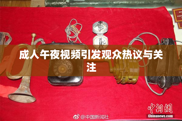 成人午夜视频引发观众热议与关注