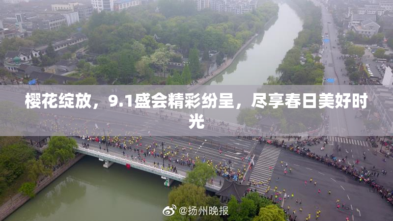 樱花绽放，9.1盛会精彩纷呈，尽享春日美好时光