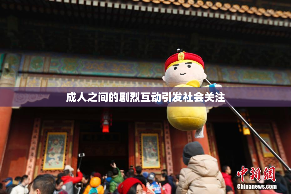 成人之间的剧烈互动引发社会关注