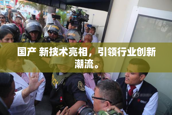 国产 新技术亮相，引领行业创新潮流。