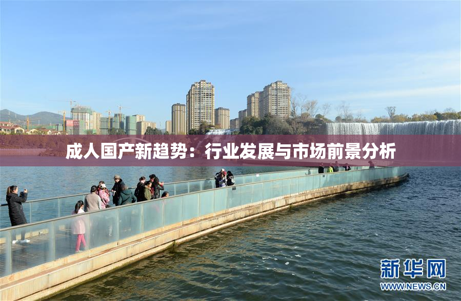 成人国产新趋势：行业发展与市场前景分析