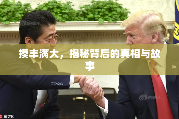 摸丰满大，揭秘背后的真相与故事