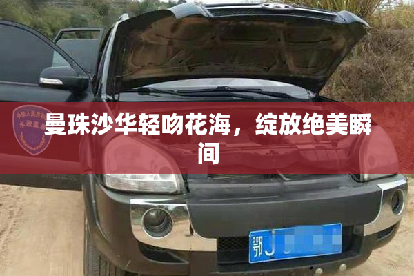 曼珠沙华轻吻花海，绽放绝美瞬间