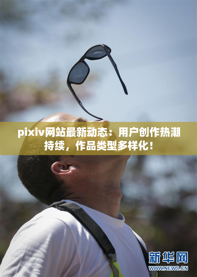pixiv网站最新动态：用户创作热潮持续，作品类型多样化！