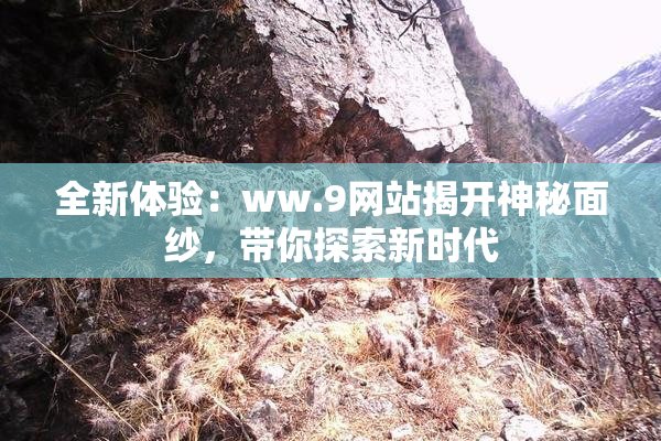 全新体验：ww.9网站揭开神秘面纱，带你探索新时代