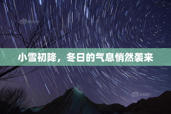 小雪初降，冬日的气息悄然袭来