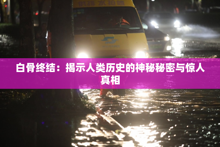 白骨终结：揭示人类历史的神秘秘密与惊人真相