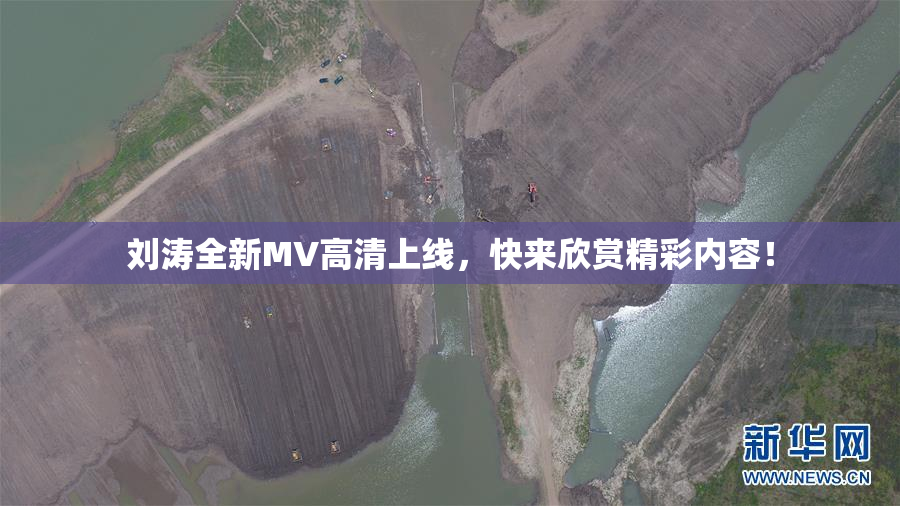 刘涛全新MV高清上线，快来欣赏精彩内容！