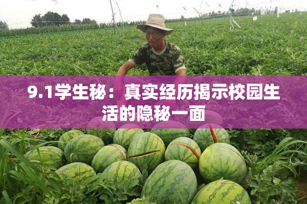 9.1学生秘：真实经历揭示校园生活的隐秘一面