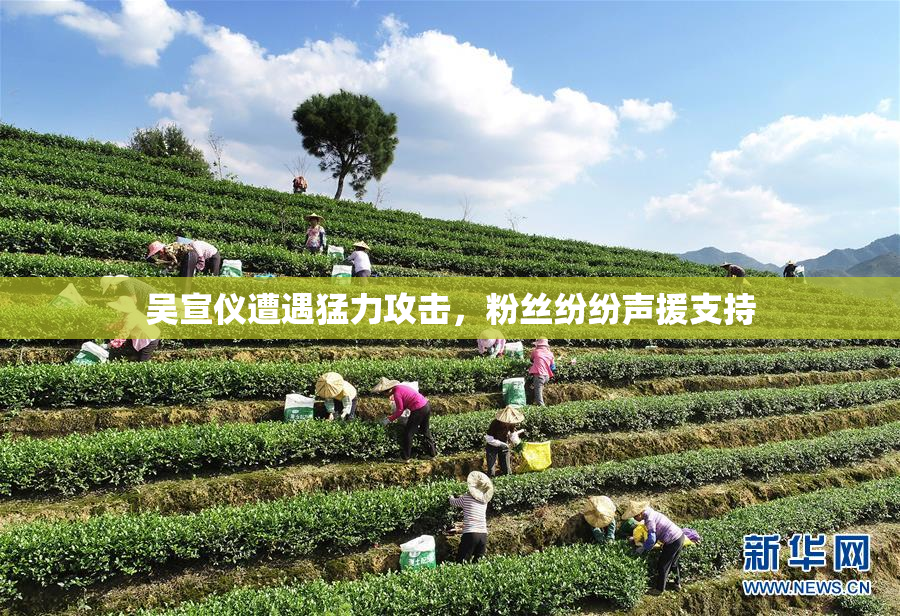 吴宣仪遭遇猛力攻击，粉丝纷纷声援支持