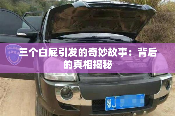 三个白屁引发的奇妙故事：背后的真相揭秘