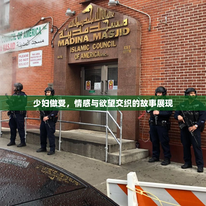 少妇做受，情感与欲望交织的故事展现