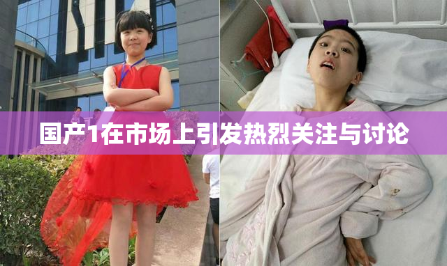 国产1在市场上引发热烈关注与讨论