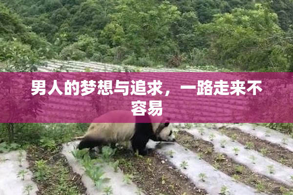 男人的梦想与追求，一路走来不容易