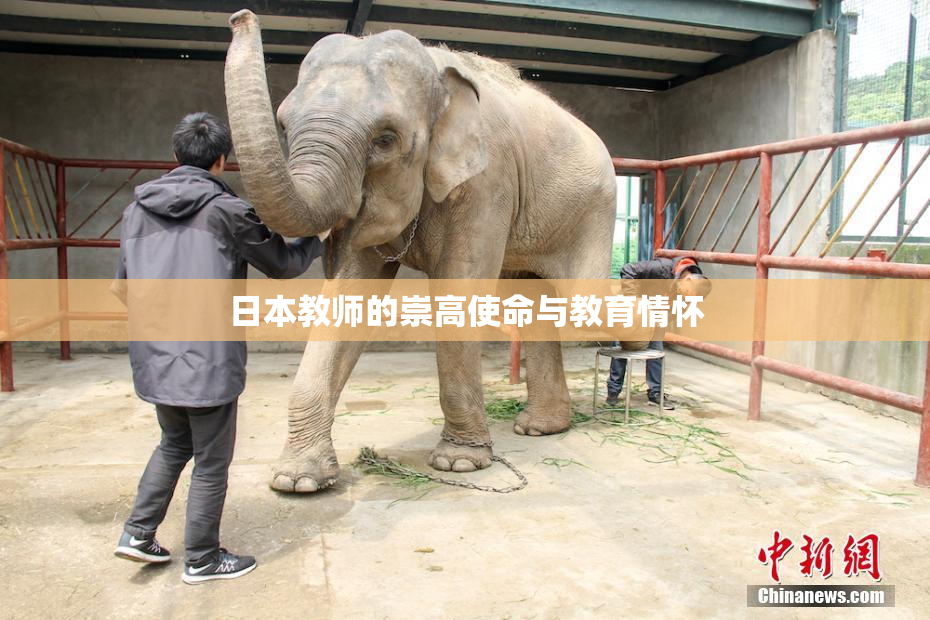 日本教师的崇高使命与教育情怀