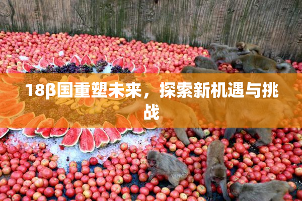 18β国重塑未来，探索新机遇与挑战