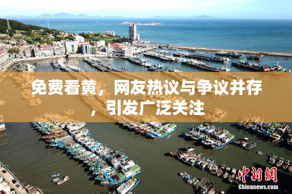 免费看黄，网友热议与争议并存，引发广泛关注