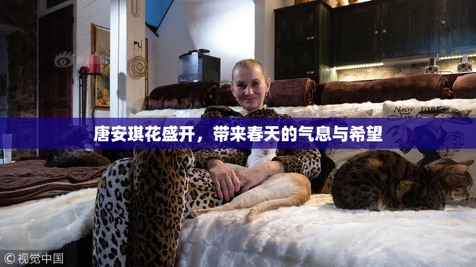 唐安琪花盛开，带来春天的气息与希望