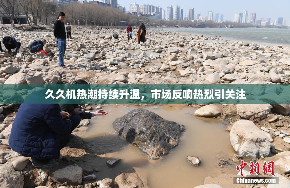 久久机热潮持续升温，市场反响热烈引关注