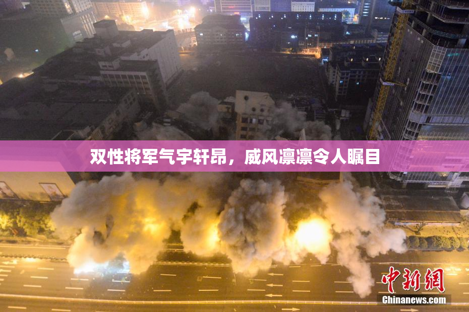 双性将军气宇轩昂，威风凛凛令人瞩目