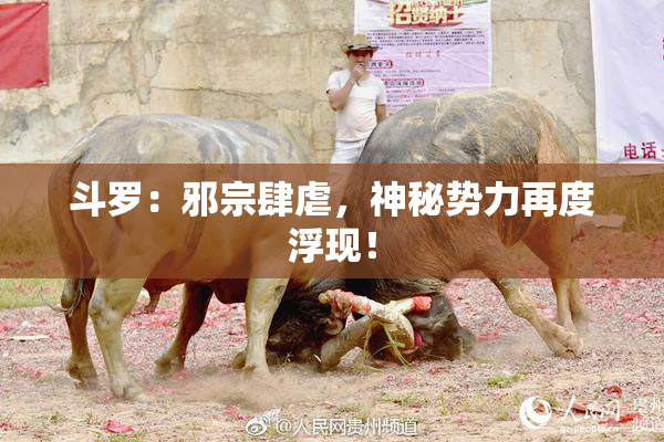 斗罗：邪宗肆虐，神秘势力再度浮现！