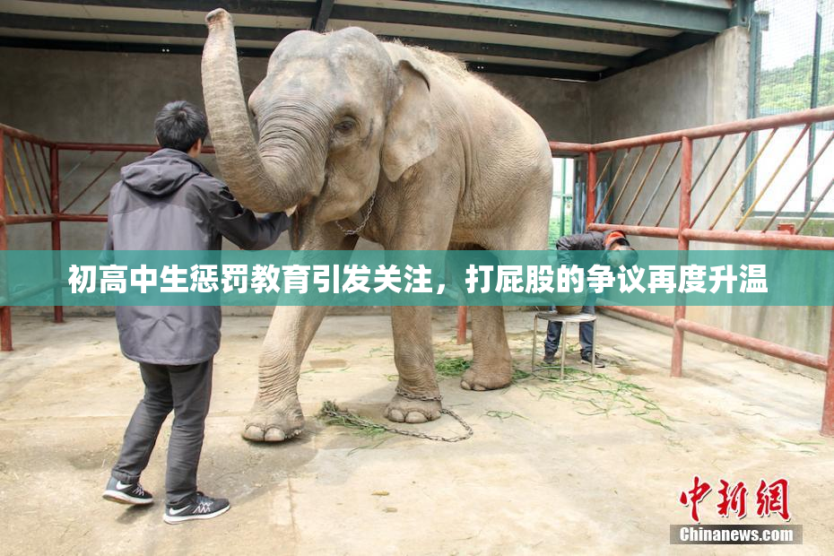 初高中生惩罚教育引发关注，打屁股的争议再度升温