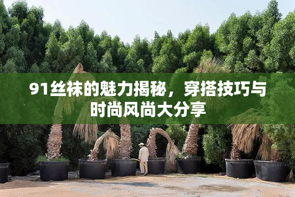 91丝袜的魅力揭秘，穿搭技巧与时尚风尚大分享