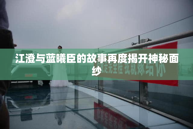 江澄与蓝曦臣的故事再度揭开神秘面纱