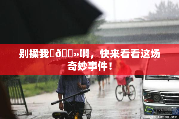 别揉我‌🐻啊，快来看看这场奇妙事件！