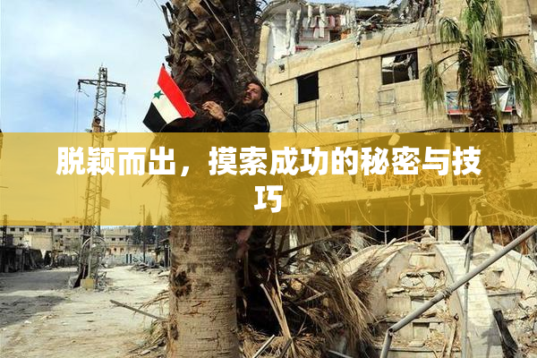 脱颖而出，摸索成功的秘密与技巧