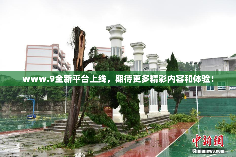 www.9全新平台上线，期待更多精彩内容和体验！