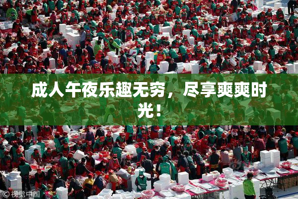 成人午夜乐趣无穷，尽享爽爽时光！