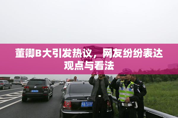 董卿B大引发热议，网友纷纷表达观点与看法