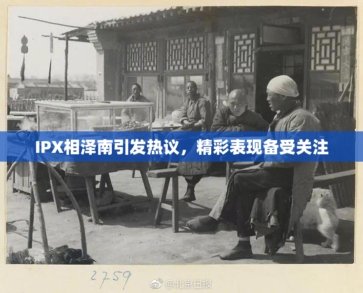 IPX相泽南引发热议，精彩表现备受关注
