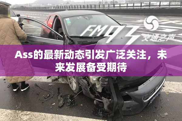Ass的最新动态引发广泛关注，未来发展备受期待