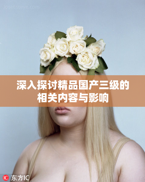 深入探讨精品国产三级的相关内容与影响