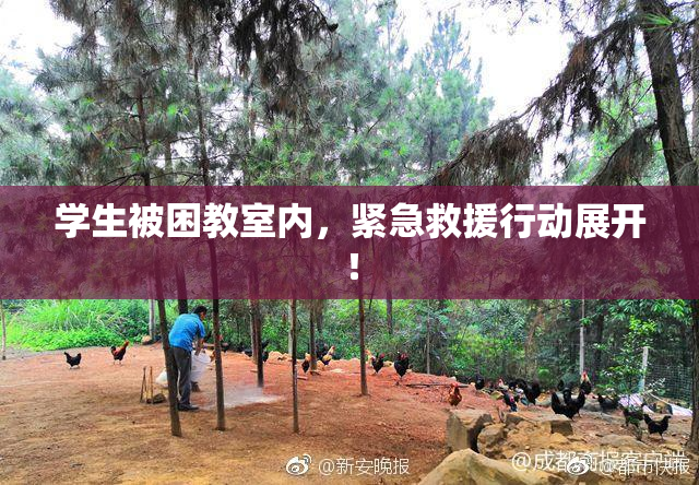 学生被困教室内，紧急救援行动展开！