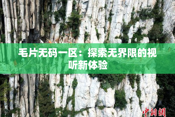 毛片无码一区：探索无界限的视听新体验