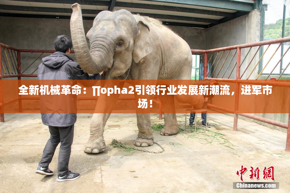 全新机械革命：∏opha2引领行业发展新潮流，进军市场！