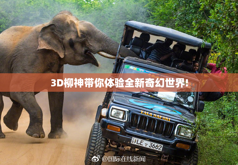 3D柳神带你体验全新奇幻世界!