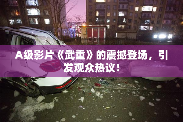 A级影片《武重》的震撼登场，引发观众热议！