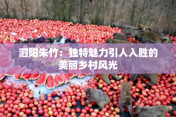 泗阳朱竹：独特魅力引人入胜的美丽乡村风光