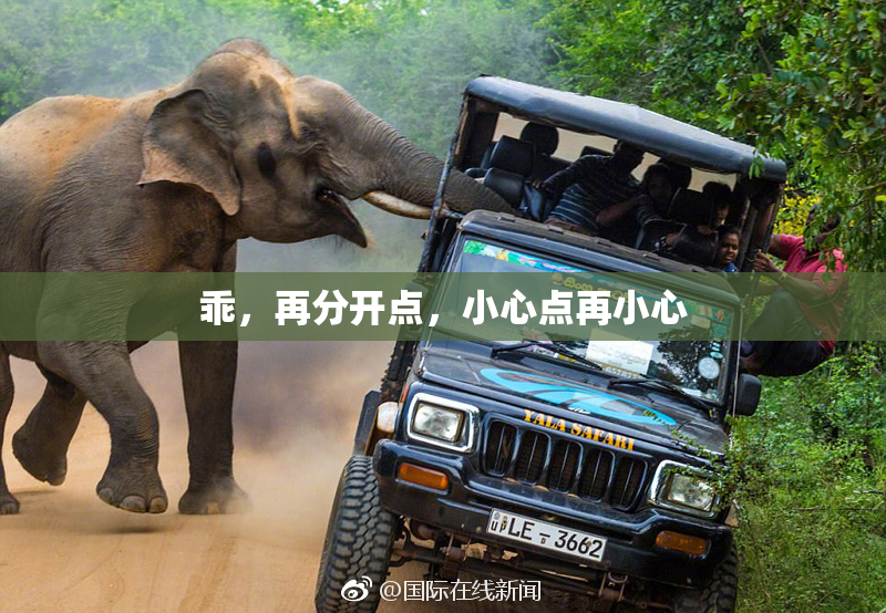 乖，再分开点，小心点再小心