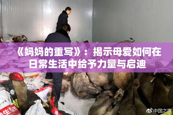 《妈妈的重写》：揭示母爱如何在日常生活中给予力量与启迪