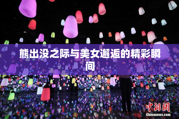 熊出没之际与美女邂逅的精彩瞬间
