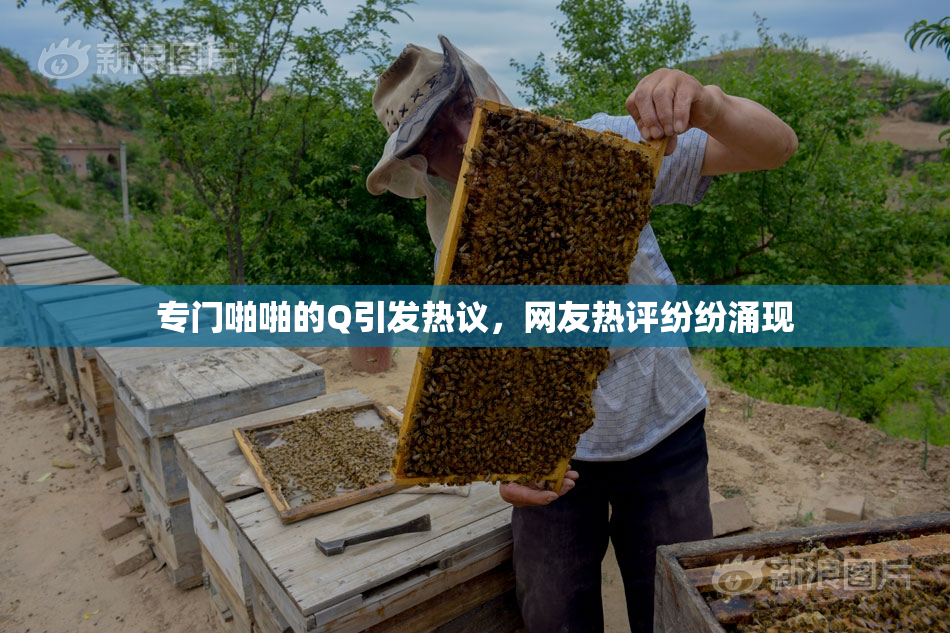 专门啪啪的Q引发热议，网友热评纷纷涌现