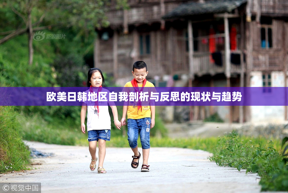 欧美日韩地区自我剖析与反思的现状与趋势
